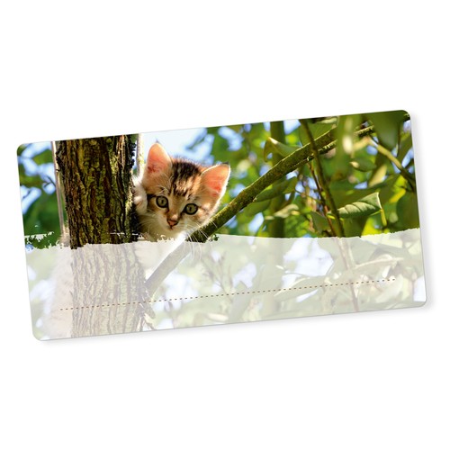 Itenga 40x buchetiketten katze - buchetiketten,